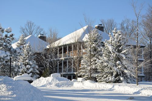 4 Season Fun At Legend Cottage Inn Bellaire 外观 照片